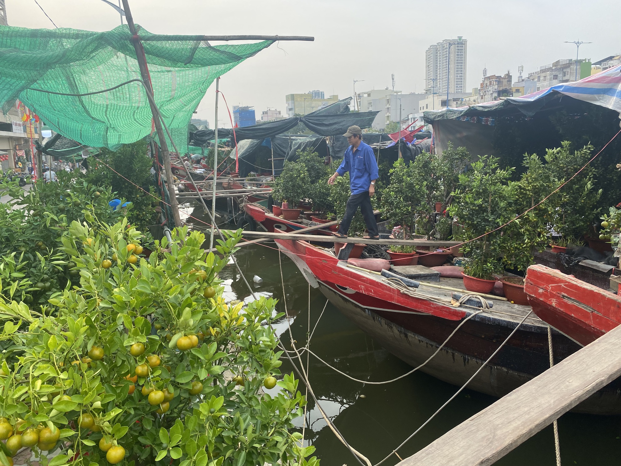 Ghe chở hoa kiểng Tết cập Bến Bình Đông nhiều chưa từng thấy - Ảnh 19.