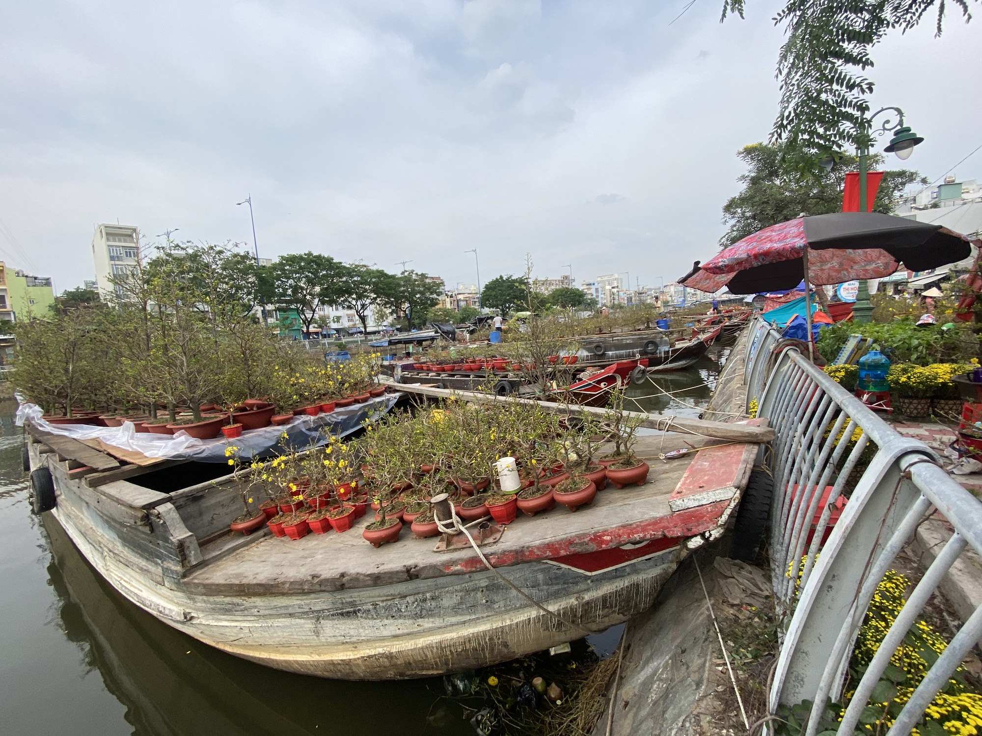 Ghe chở hoa kiểng Tết cập Bến Bình Đông nhiều chưa từng thấy - Ảnh 14.