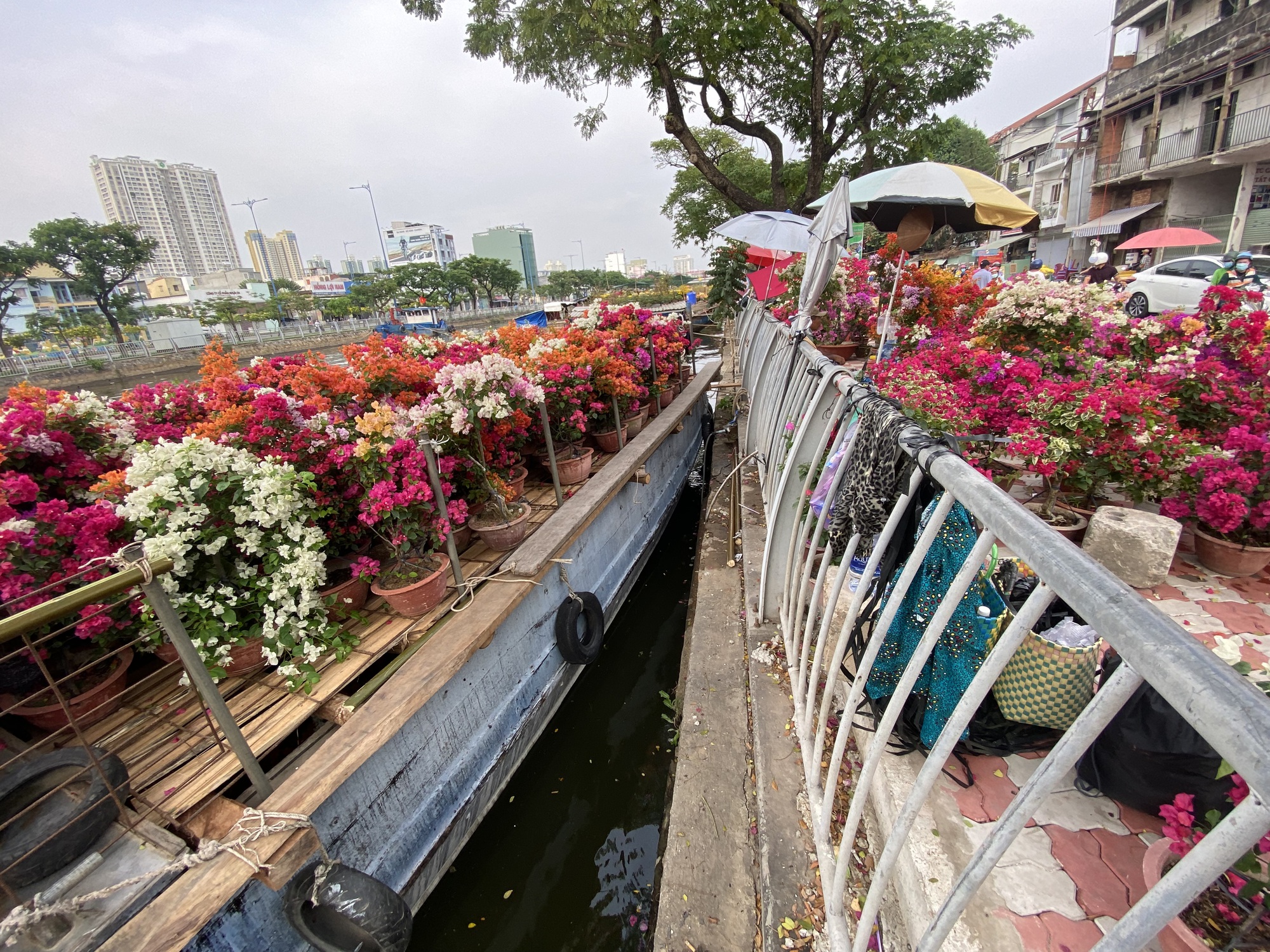 Ghe chở hoa kiểng Tết cập Bến Bình Đông nhiều chưa từng thấy - Ảnh 16.