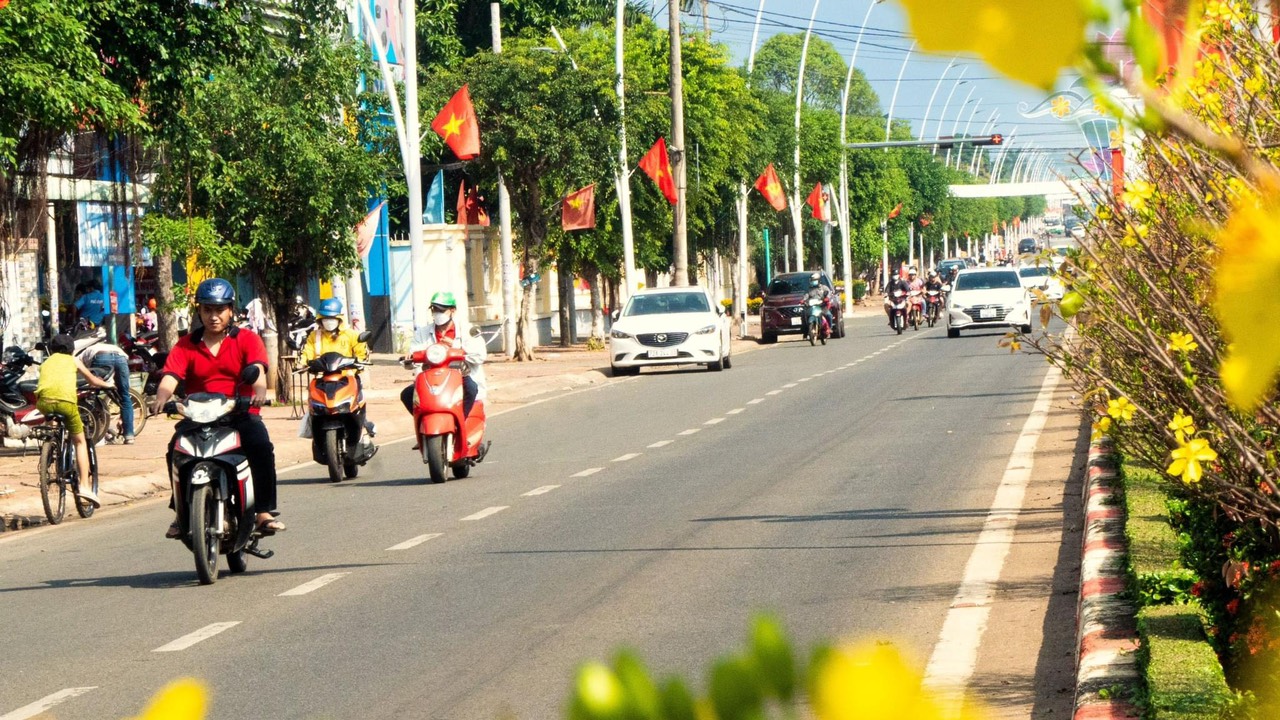 Độc đ&aacute;o tuyến đường hoa mai nở rộ tr&ecirc;n Quốc lộ 56 - Ảnh 2.