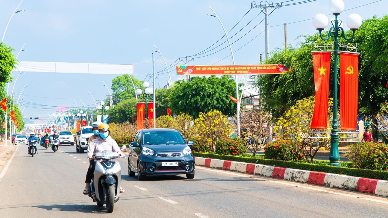 Độc đ&aacute;o tuyến đường hoa mai nở rộ tr&ecirc;n Quốc lộ 56 - Ảnh 4.