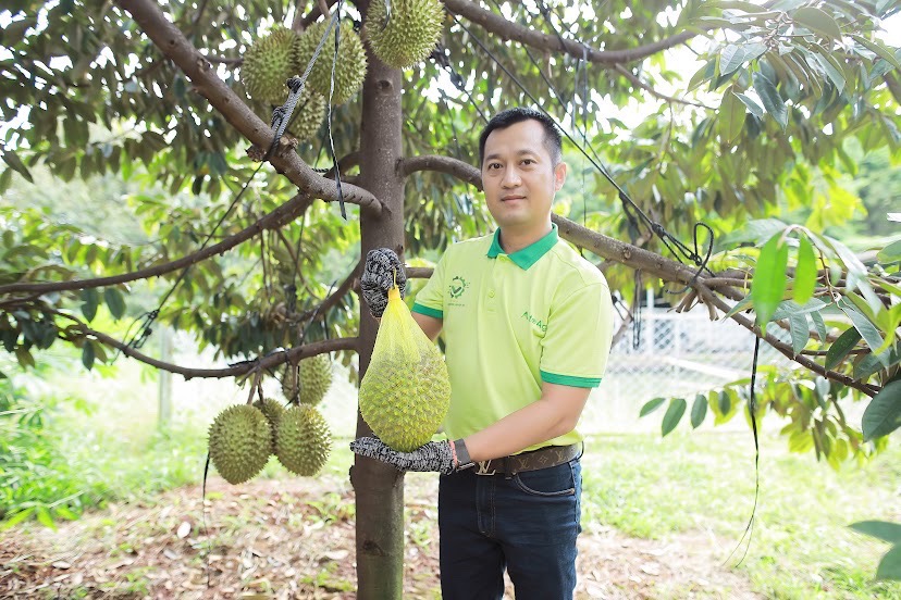 Nhà vườn sầu riêng ăn Tết rủng rỉnh nhờ thị trường Trung Quốc - Ảnh 4.