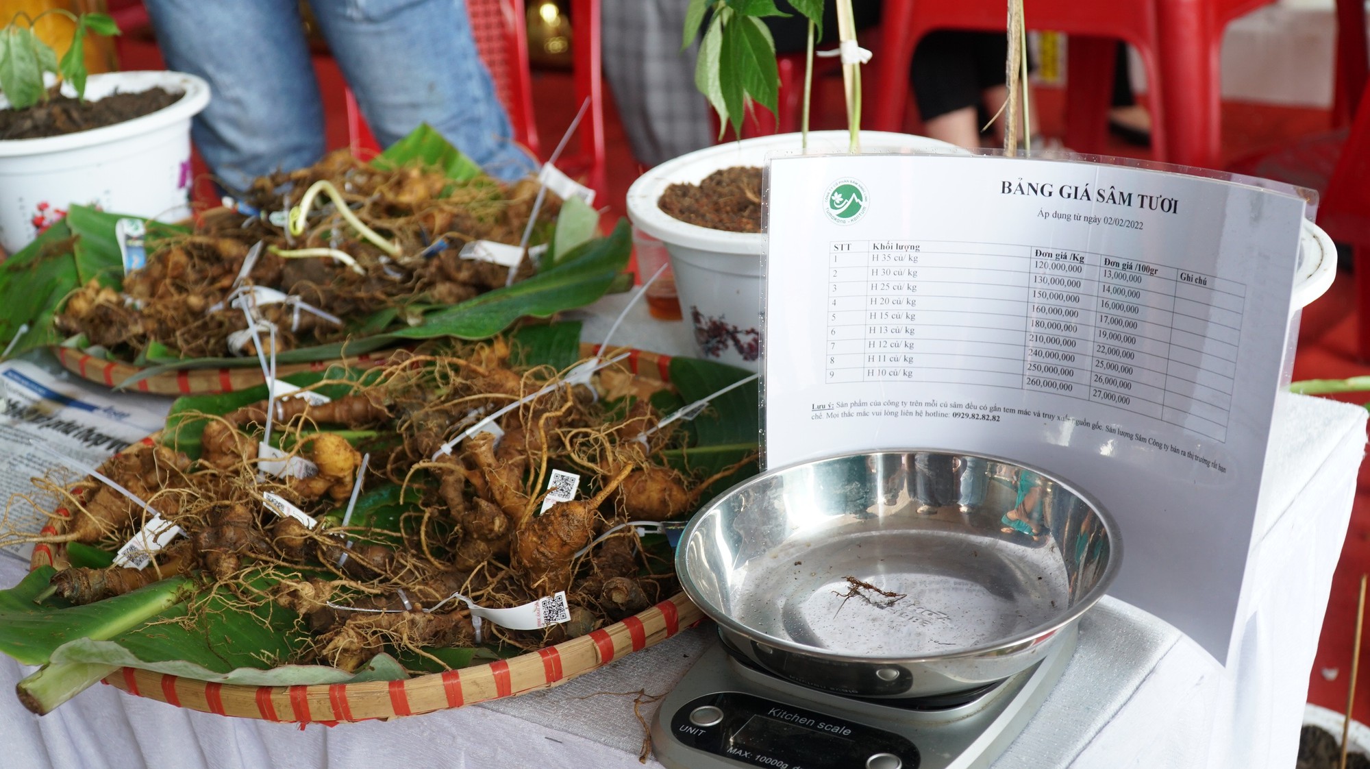 Nhiều kỳ vọng ở phiên chợ sâm Ngọc Linh - Ảnh 4.