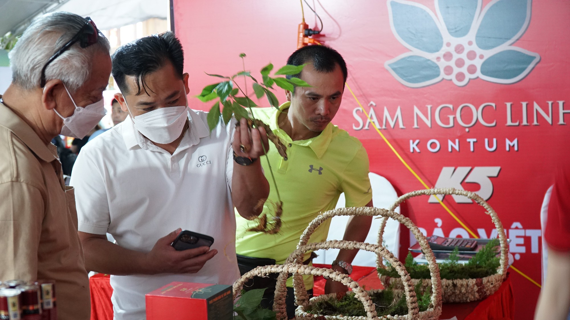 Nhiều kỳ vọng ở phiên chợ sâm Ngọc Linh - Ảnh 1.