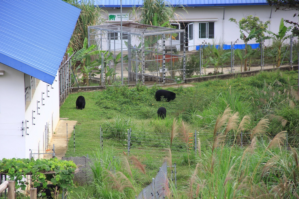 Ng&ocirc;i nh&agrave; chung hạnh ph&uacute;c của 49 con gấu - Ảnh 14.