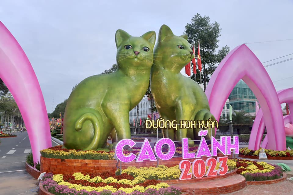 Độc đ&aacute;o m&egrave;o ốp l&aacute; sen ở Đồng Th&aacute;p, m&egrave;o r&ocirc;-bốt tại Ph&uacute; Quốc - Ảnh 1.