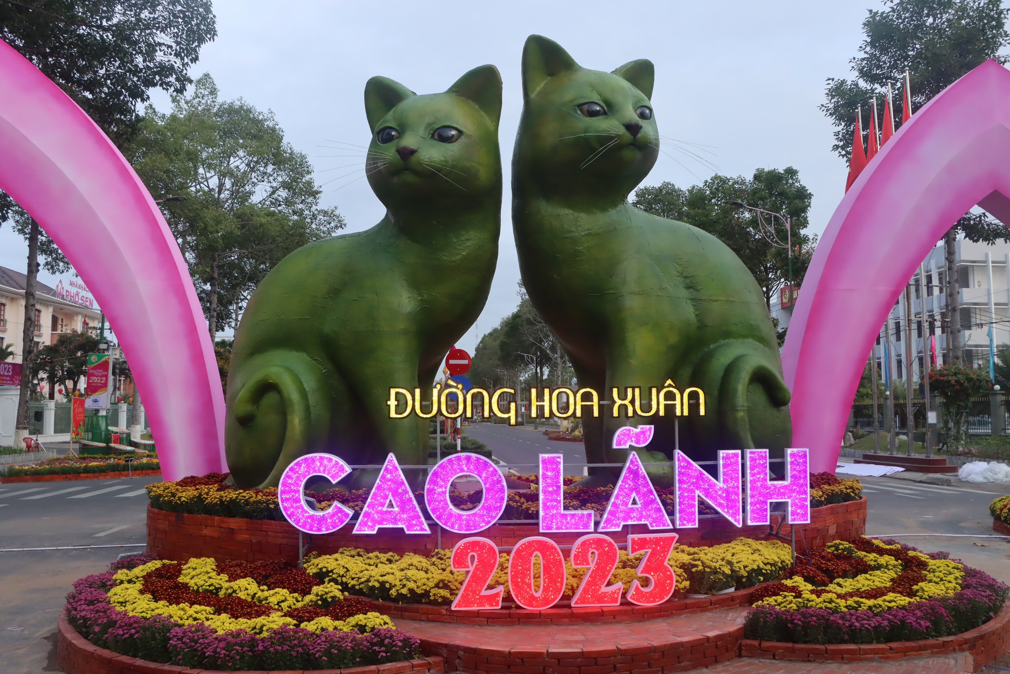 Độc đ&aacute;o m&egrave;o ốp l&aacute; sen ở Đồng Th&aacute;p, m&egrave;o r&ocirc;-bốt tại Ph&uacute; Quốc - Ảnh 2.