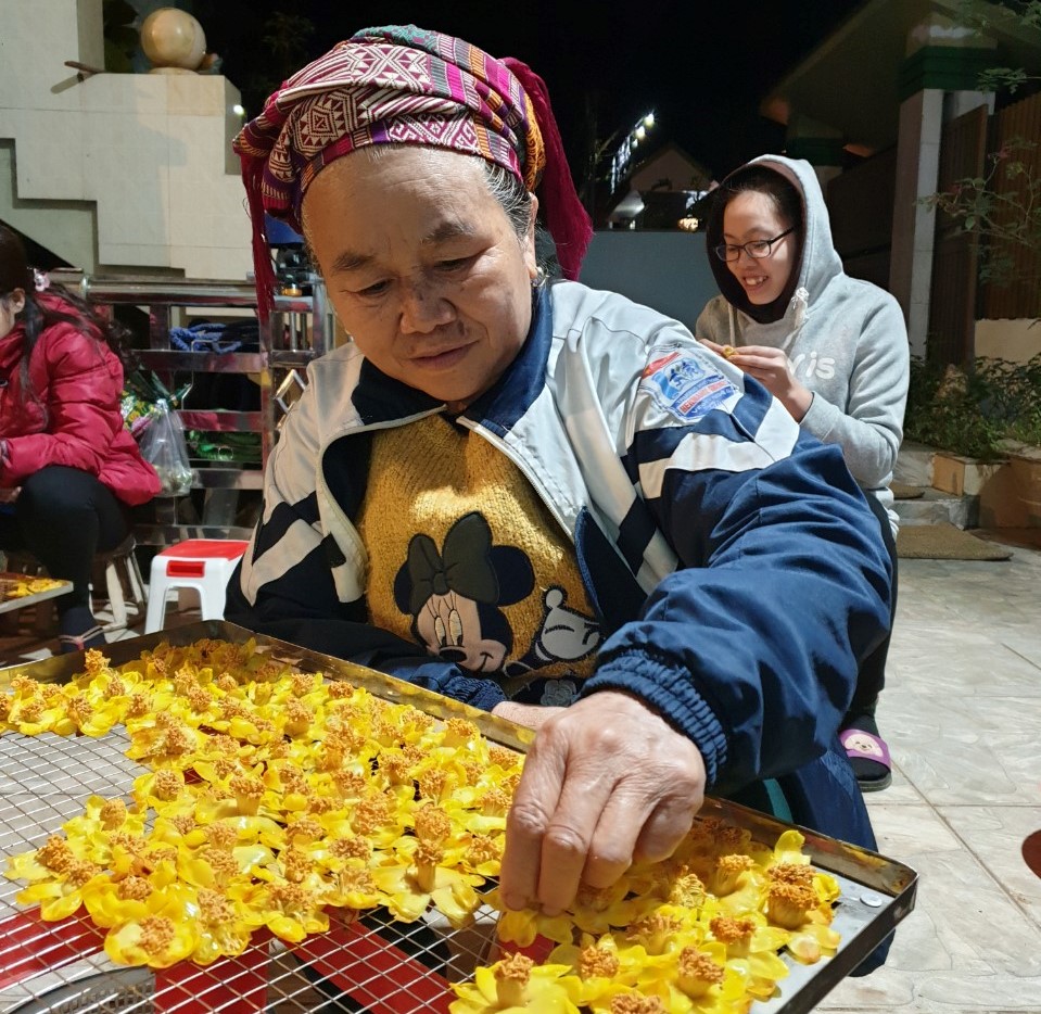 Vào rừng hái chè cho thu nhập tiền triệu mỗi ngày
