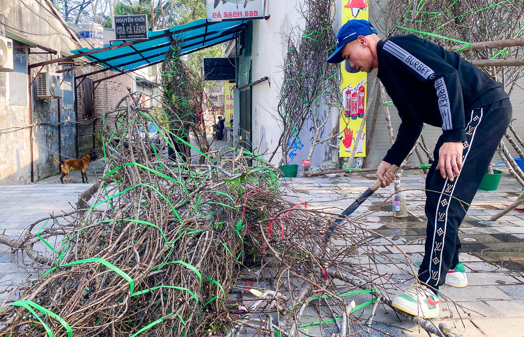 30 Tết, tiểu thương quyết chặt bỏ đào chứ không bán rẻ