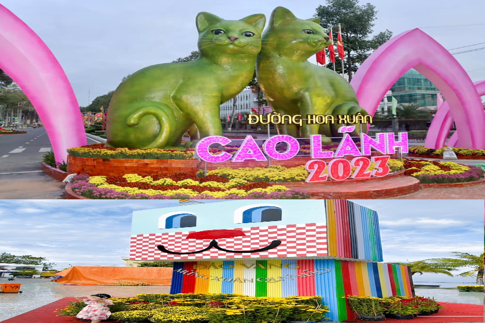 Độc đáo mèo ốp lá sen ở Đồng Tháp, mèo rô-bốt tại Phú Quốc