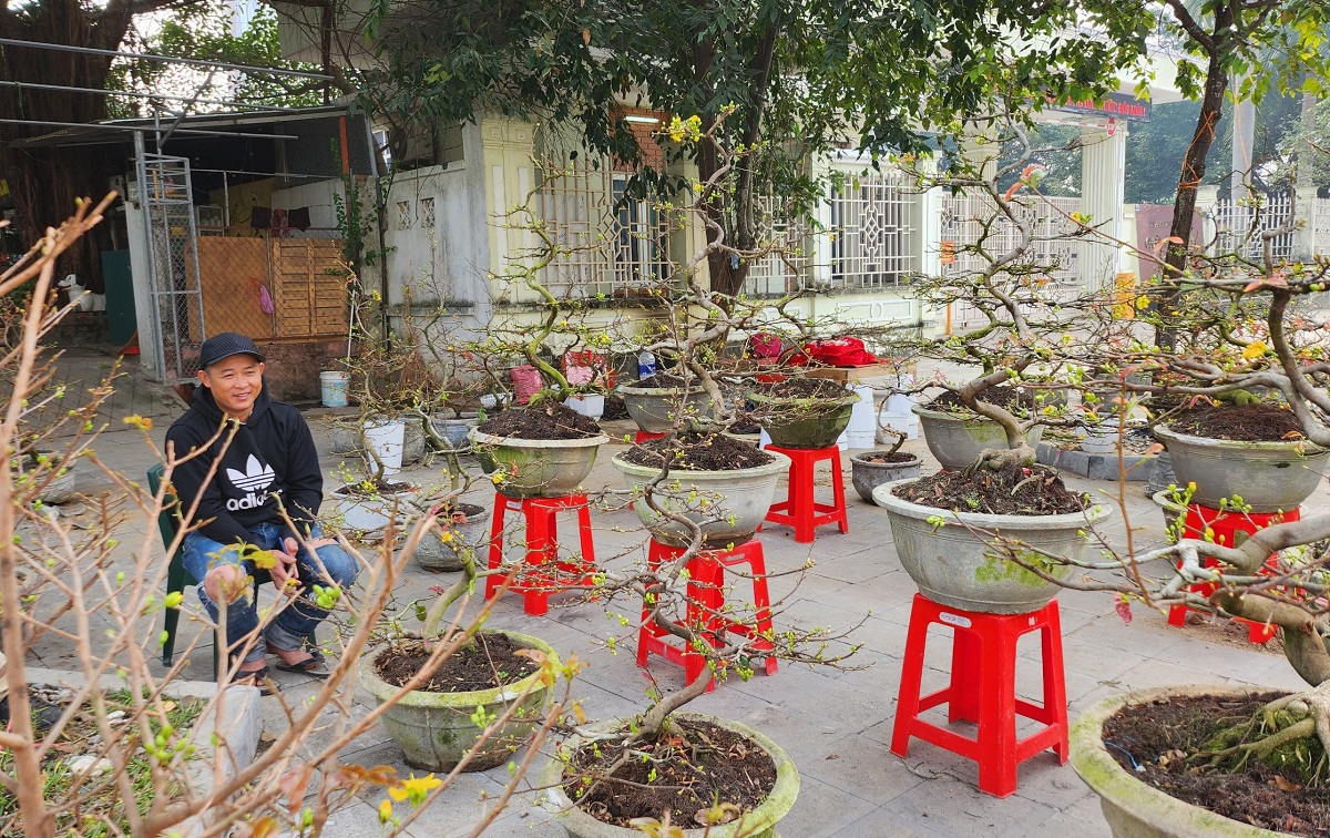 Đ&agrave;o rừng ế ẩm, người b&aacute;n vứt th&agrave;nh đống tr&ecirc;n phố chiều 30 Tết - Ảnh 13.