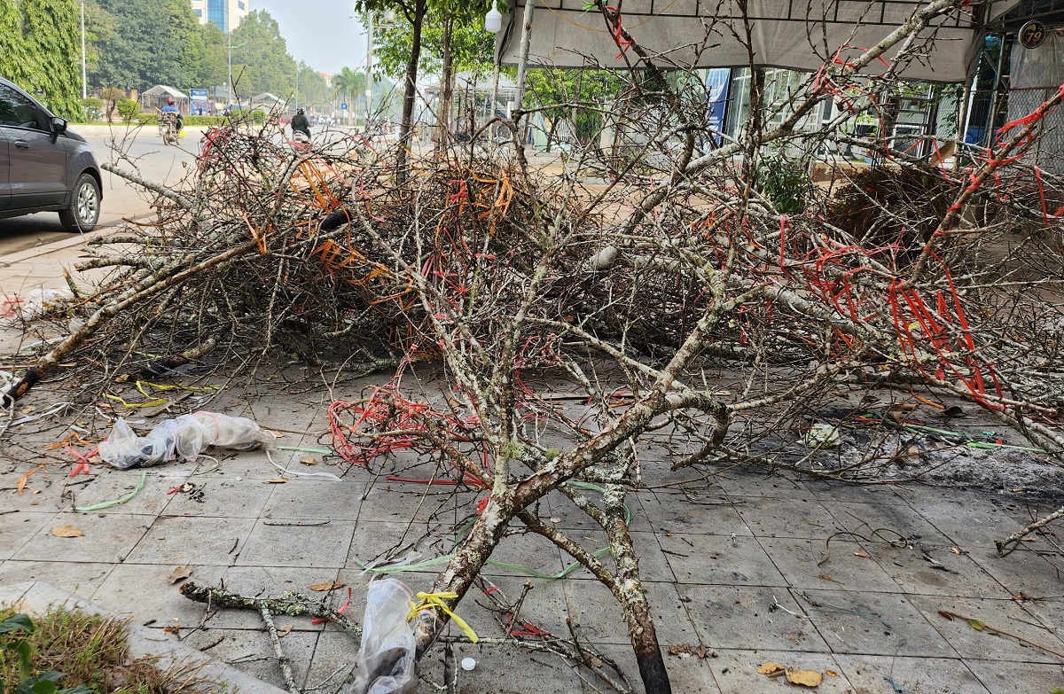 Đ&agrave;o rừng ế ẩm, người b&aacute;n vứt th&agrave;nh đống tr&ecirc;n phố chiều 30 Tết - Ảnh 6.