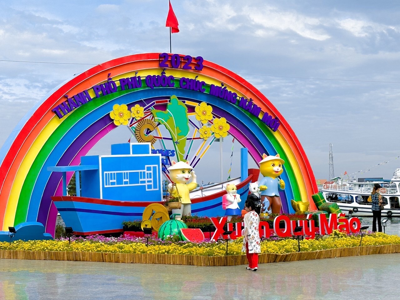 Độc đ&aacute;o m&egrave;o ốp l&aacute; sen ở Đồng Th&aacute;p, m&egrave;o r&ocirc;-bốt tại Ph&uacute; Quốc - Ảnh 4.