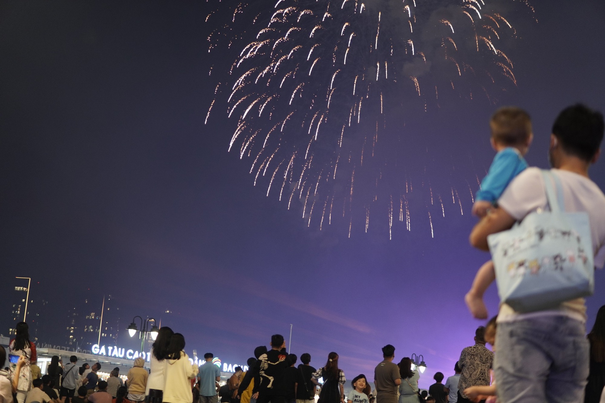 M&atilde;n nh&atilde;n m&agrave;n ph&aacute;o hoa đ&oacute;n xu&acirc;n Q&uacute;y M&atilde;o ở TP HCM - Ảnh 7.