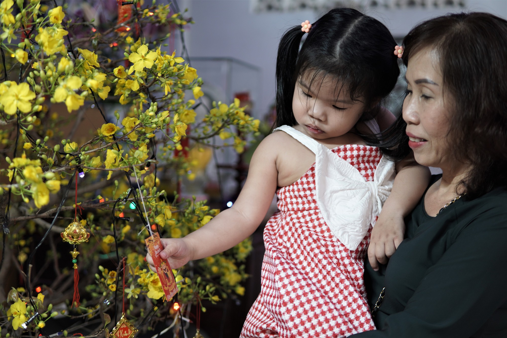 Người d&acirc;n TP HCM tấp nập đi lễ ch&ugrave;a m&ugrave;ng 1 Tết, cầu năm mới b&igrave;nh an  - Ảnh 8.