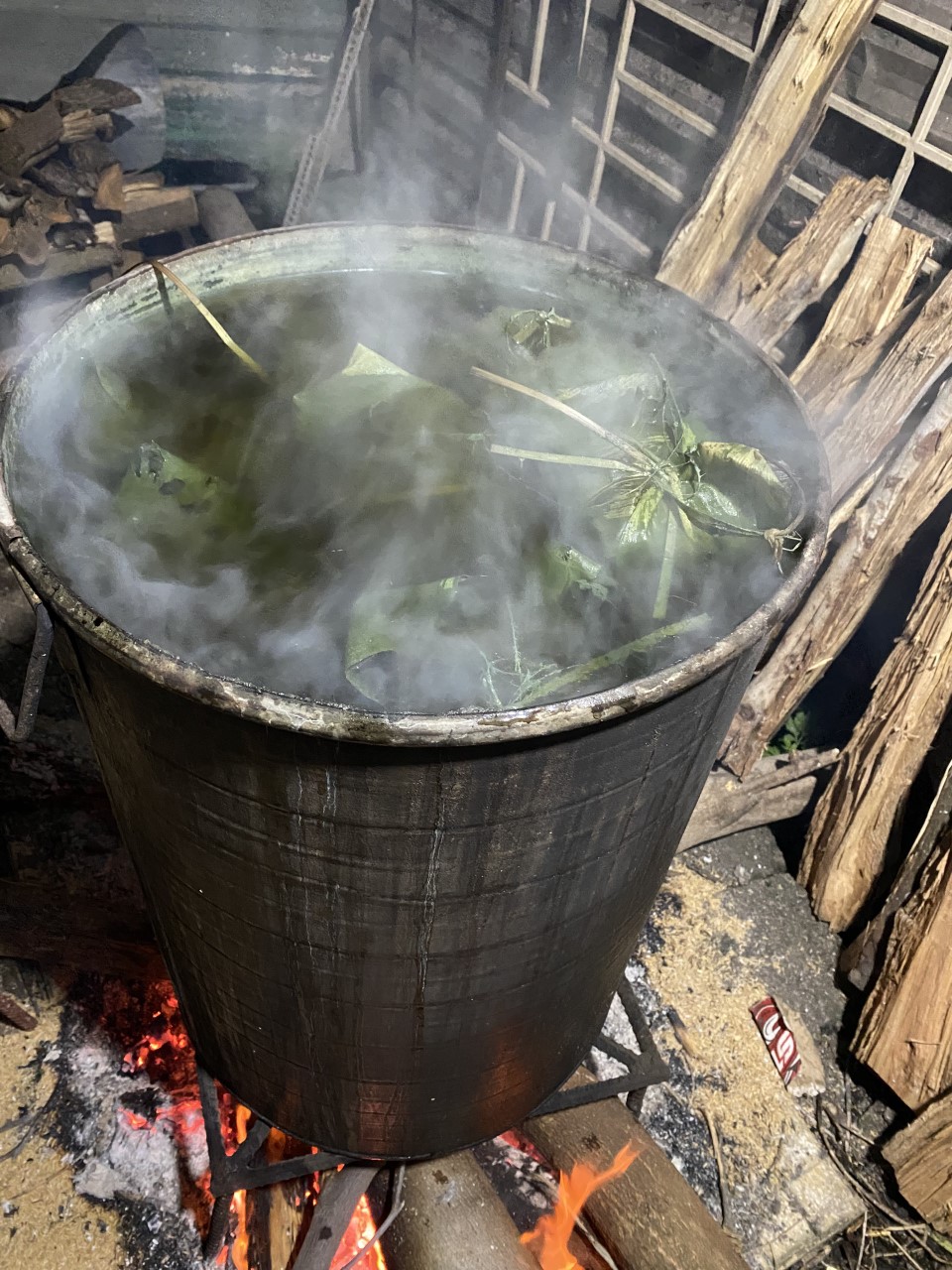 CUỘC THI VIẾT HƯƠNG VỊ TẾT: Trong vương quốc của nội - Ảnh 4.