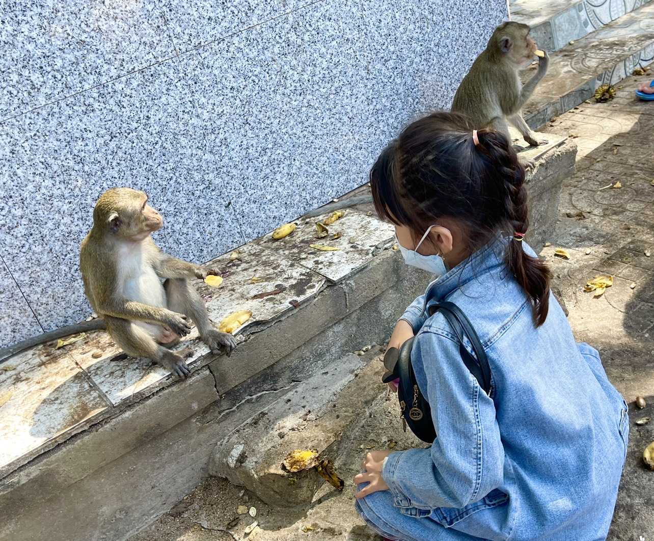 Hình ảnh hàng trăm con khỉ chọn cửa chùa làm nơi nương náu - Ảnh 6.
