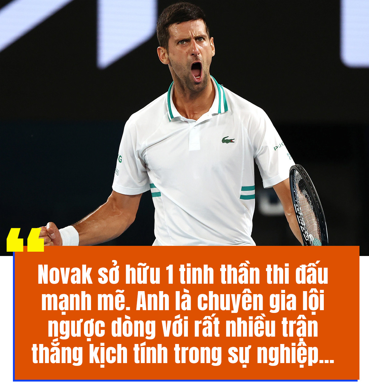 Cơ hội cho “mèo” Djokovic trong năm Mão - Ảnh 3.