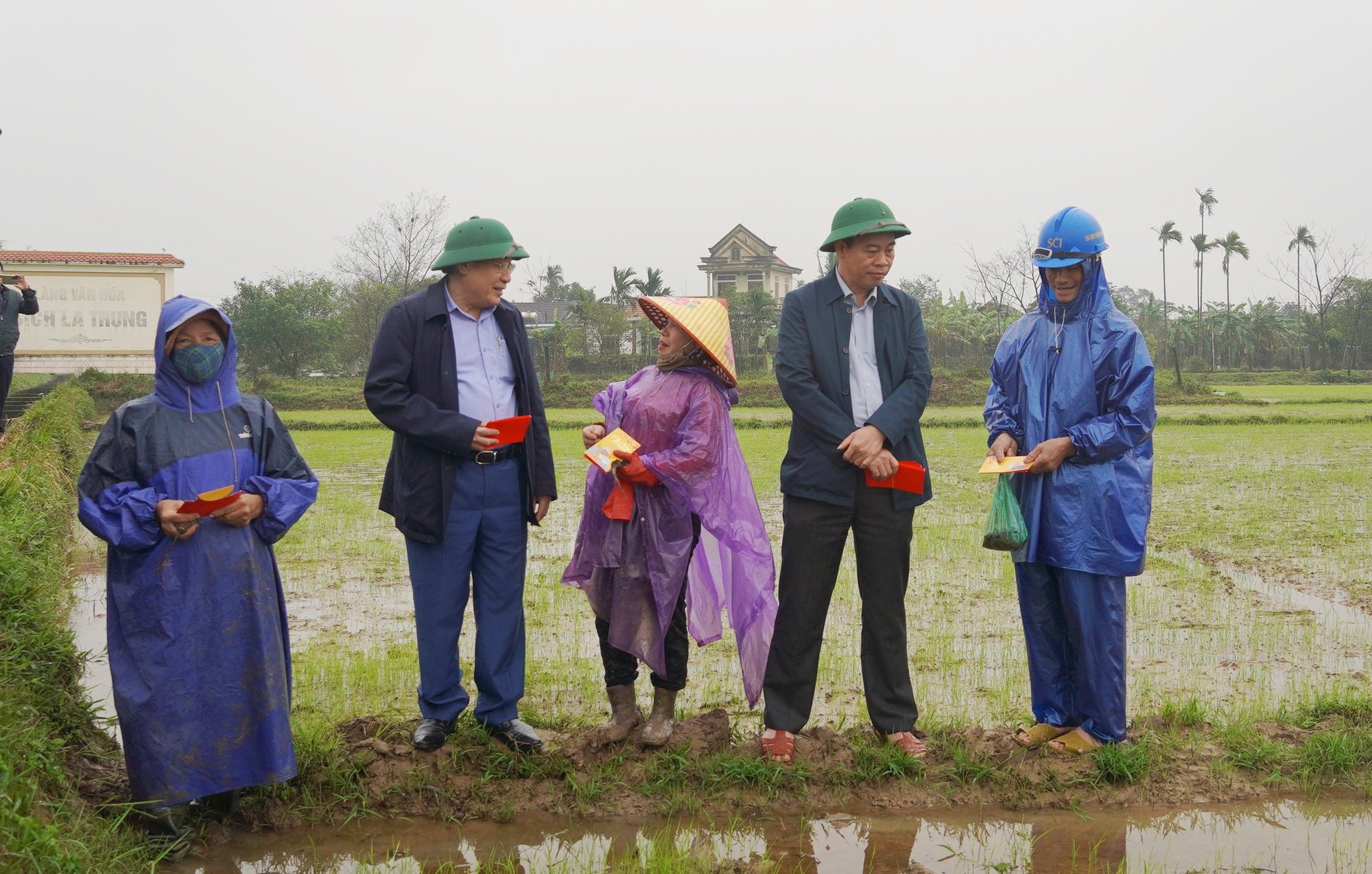 Lãnh đạo tỉnh Quảng Trị ra tận ruộng lì xì cho nông dân - Ảnh 1.