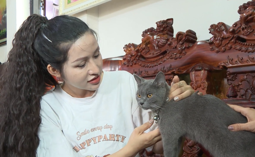 Thú vị với cách nuôi mèo của người dân đảo ngọc Phú Quốc