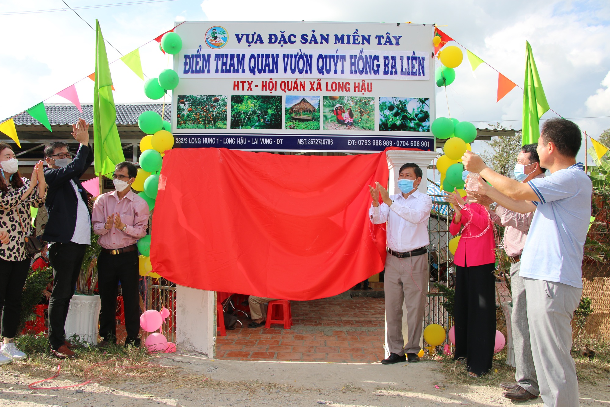 Nh&agrave; vườn trồng qu&yacute;t hồng ở miền T&acirc;y &ldquo;hốt bạc&rdquo; dịp Tết - Ảnh 1.