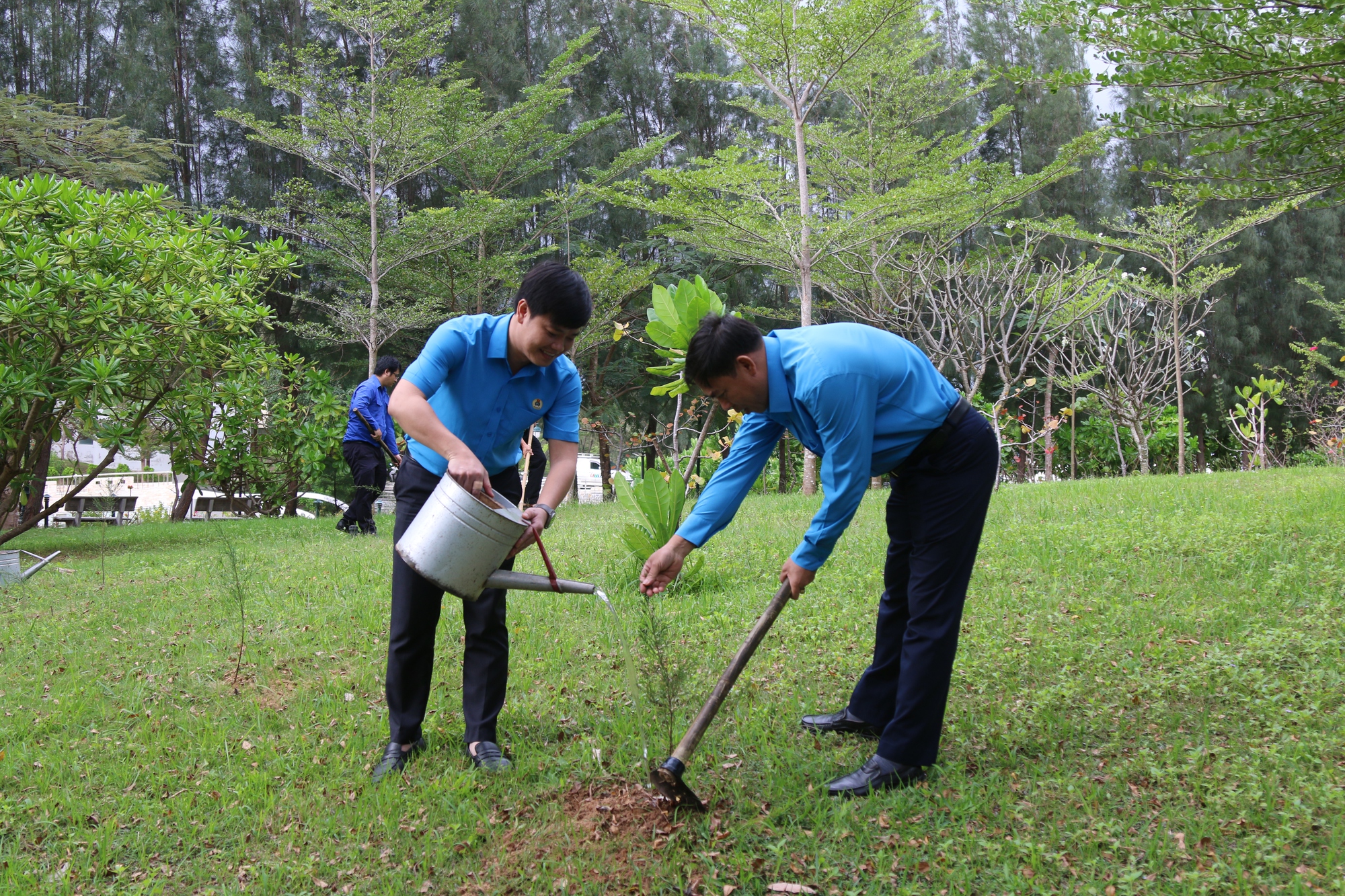 Khánh Hoà: Mỗi đoàn viên Công đoàn trồng 1 cây xanh