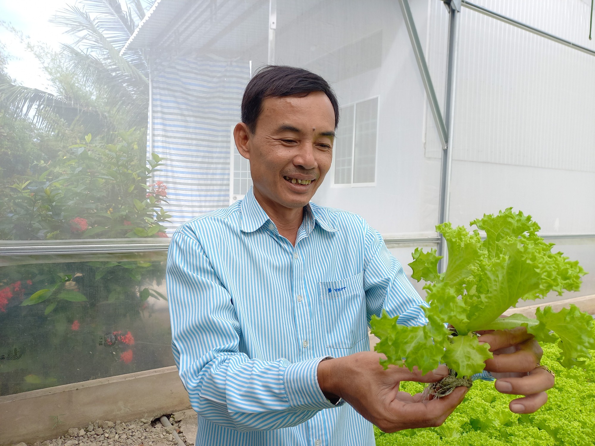 CLIP: Bỏ việc giám đốc về trồng rau thủy canh