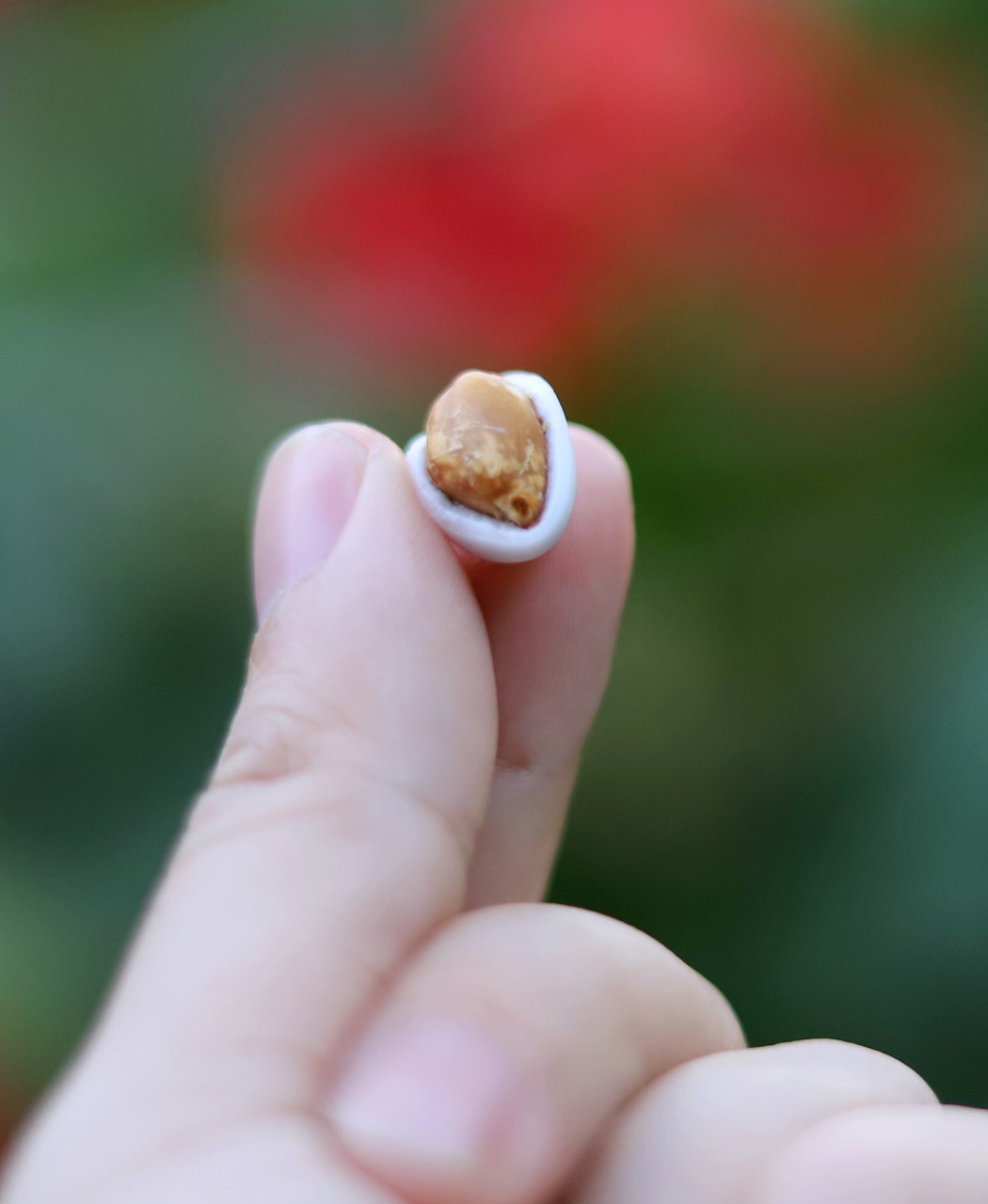 CUỘC THI VIẾT HƯƠNG VỊ TẾT: M&oacute;n kẹo trứng thằn lằn v&agrave; lời gửi gắm của mẹ - Ảnh 4.