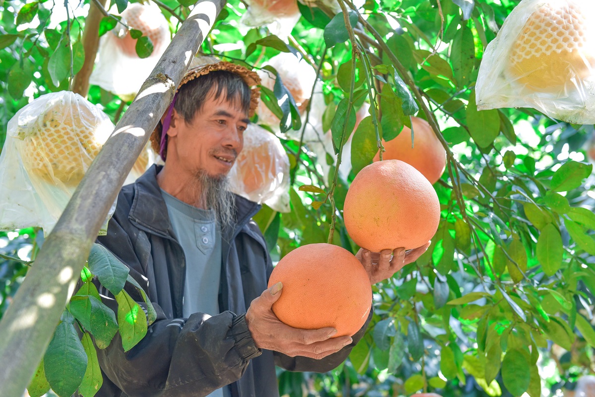 Thành quả sau 4 năm triển khai thực hiện Chương trình OCOP tại Thanh Hóa - Ảnh 2.