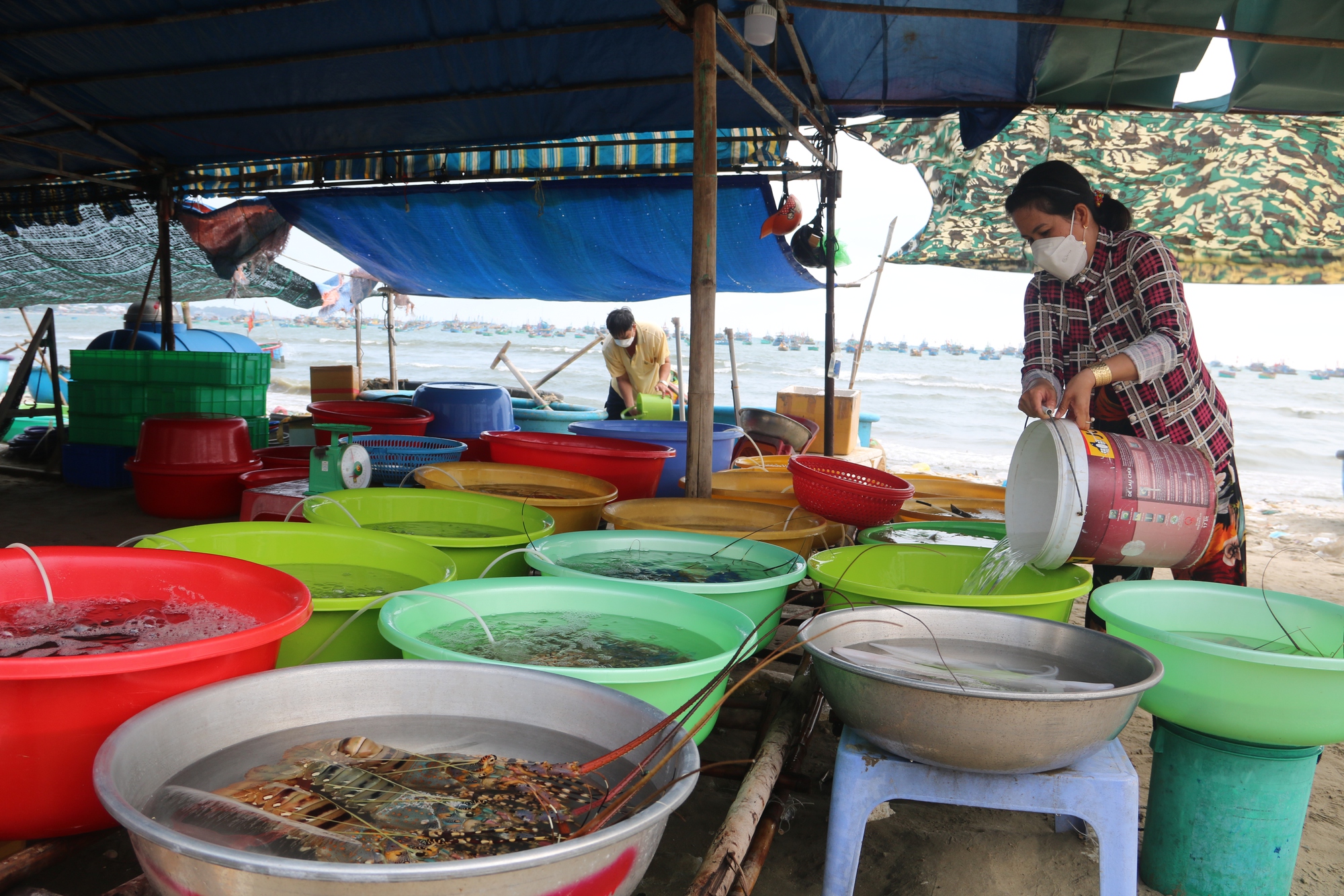 "Cân điêu” hải sản ở Mũi Né, địa phương đề nghị tháo dỡ lều quán