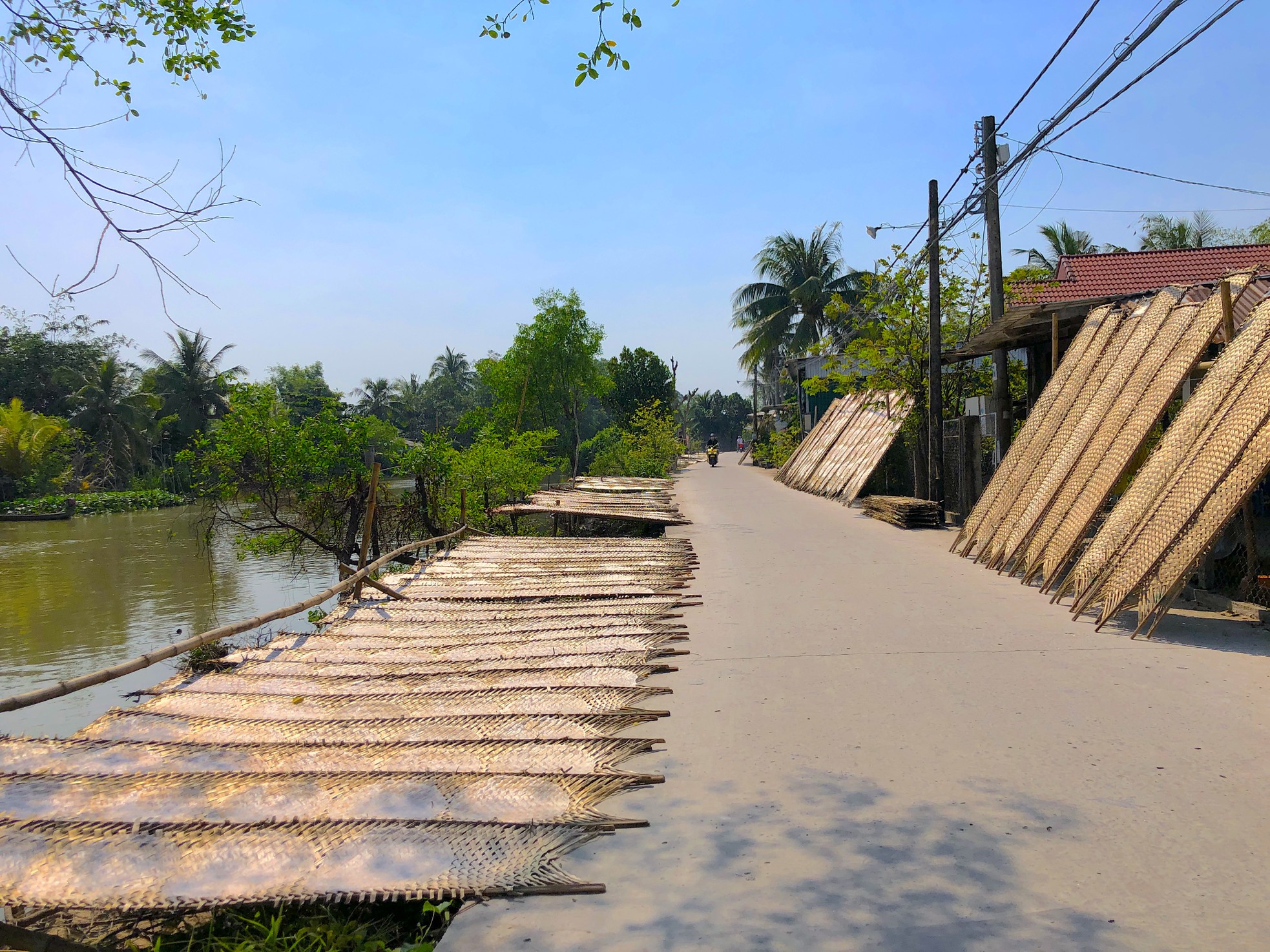 Gần Tết, bánh tráng miền Tây đắt như tôm tươi - Ảnh 1.