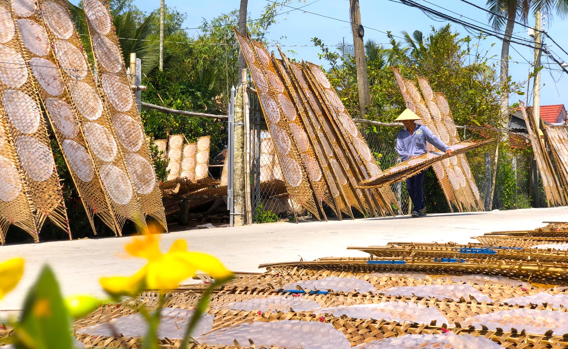 Gần Tết, bánh tráng miền Tây "đắt như tôm tươi"