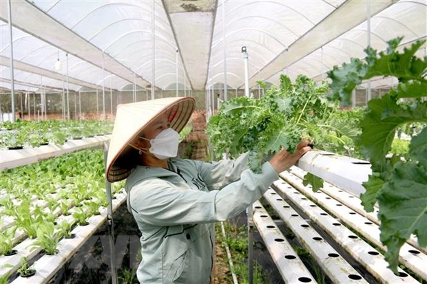 Tạo việc làm cho 30.000 lao động nữ