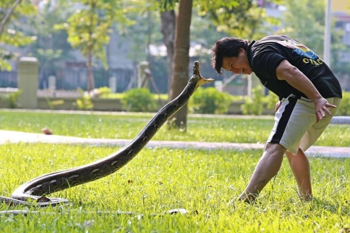 NSND Tống To&agrave;n Thắng đưa xiếc v&agrave; rock l&ecirc;n s&acirc;n khấu  - Ảnh 1.