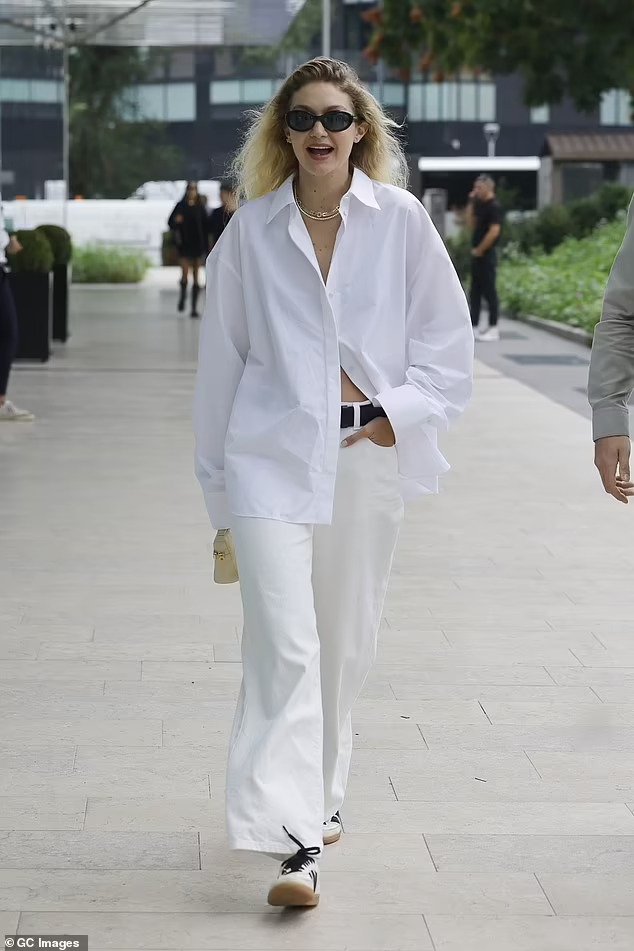 Rộ tin Gigi Hadid và Bradley Cooper tìm hiểu nhau - Ảnh 6.