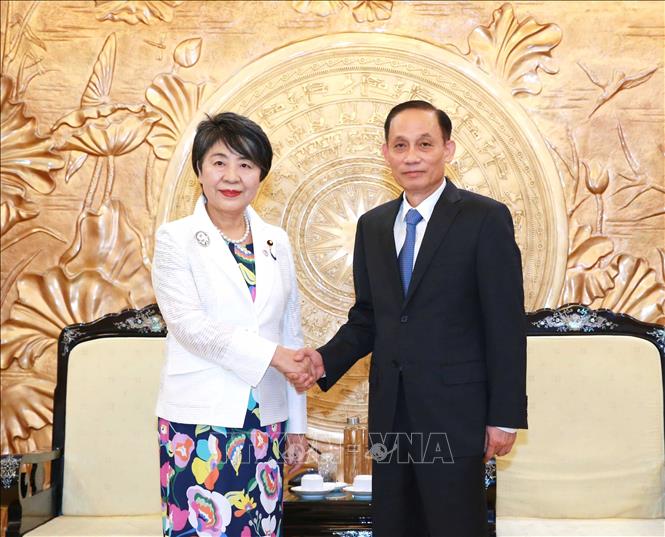 Trưởng ban Đối ngoại Trung ương L&ecirc; Ho&agrave;i Trung tiếp Bộ trưởng Ngoại giao Nhật Bản - Ảnh 1.