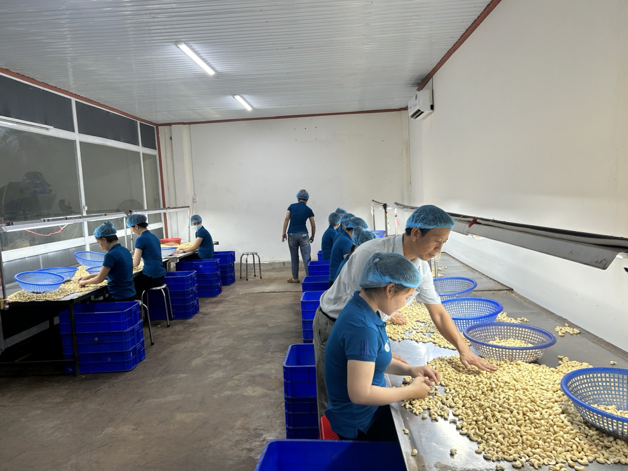 Bật lên từ những ngành, sản phẩm chủ lực