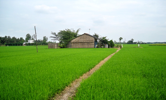 Khi viết về vùng đất quê tôi
