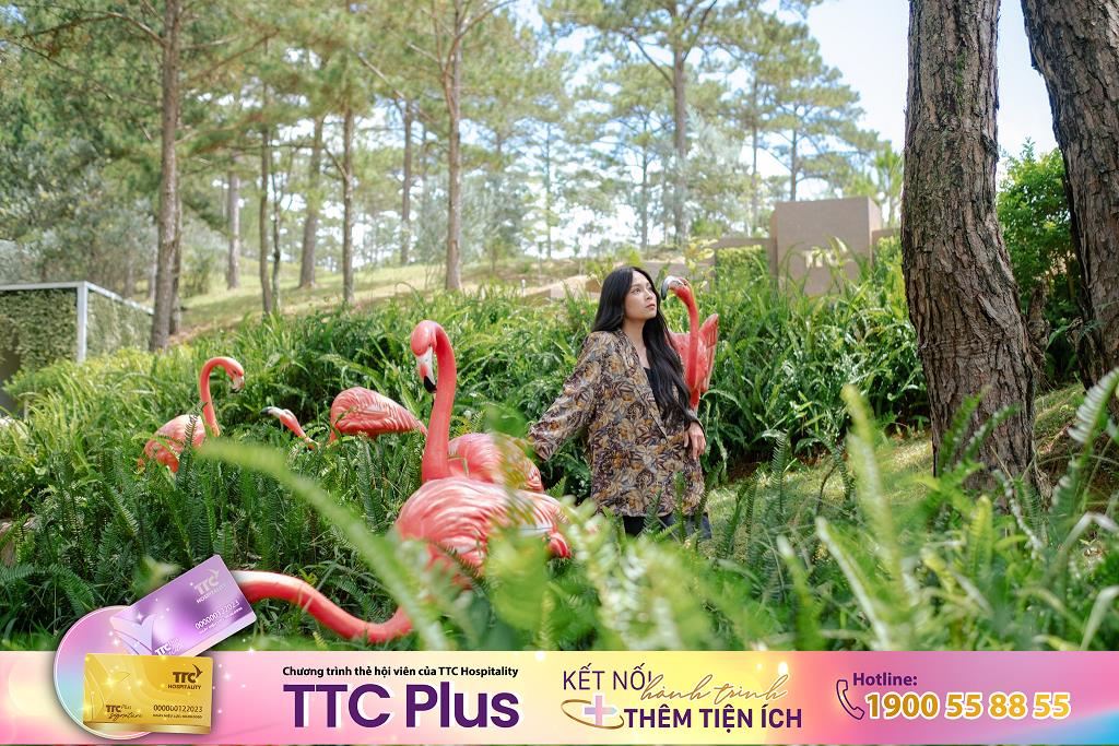 Nâng cao trải nghiệm cho du khách từ du lịch xanh