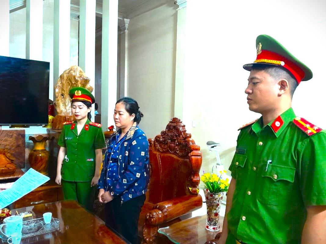 Bà Phan Thị Hồng Thuận bị khởi tố vì tội "Trốn thuế"