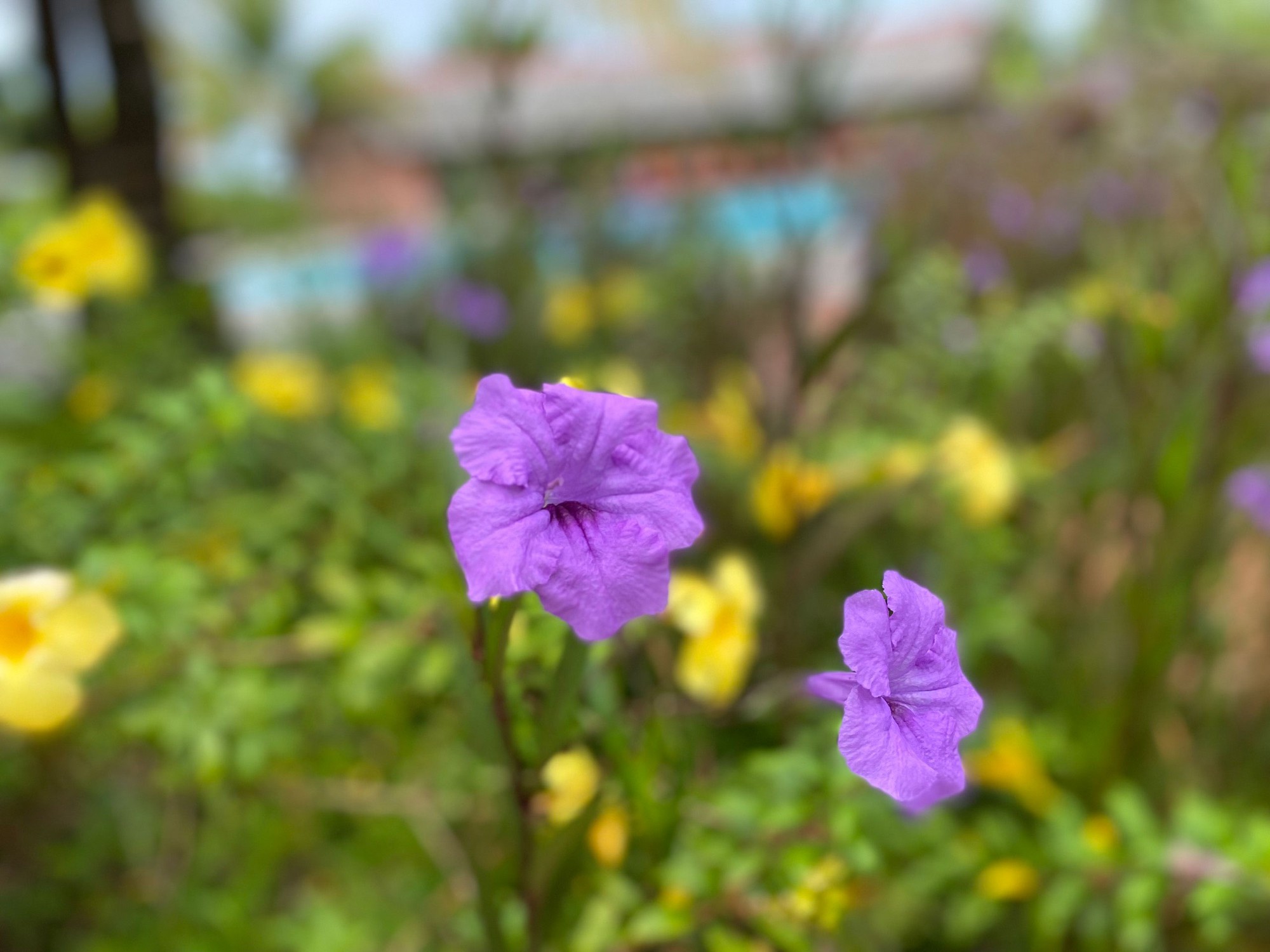 Tháng 10 cho "nửa yêu thương"