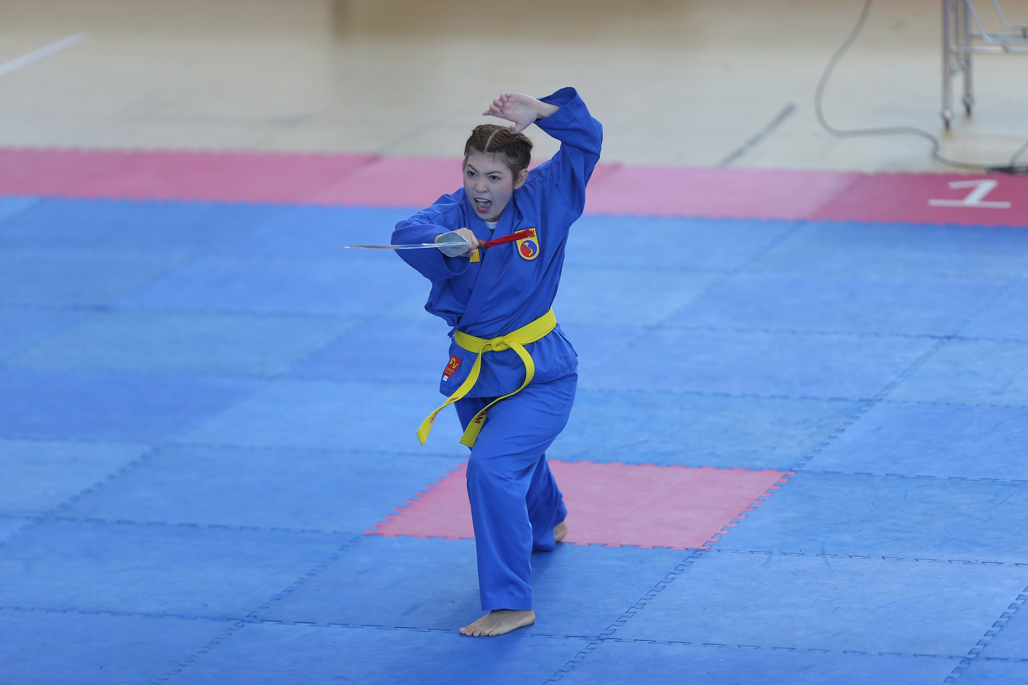 Giải V&ocirc; địch Vovinam to&agrave;n quốc 2023: TP HCM đứng nhất to&agrave;n đo&agrave;n - Ảnh 2.