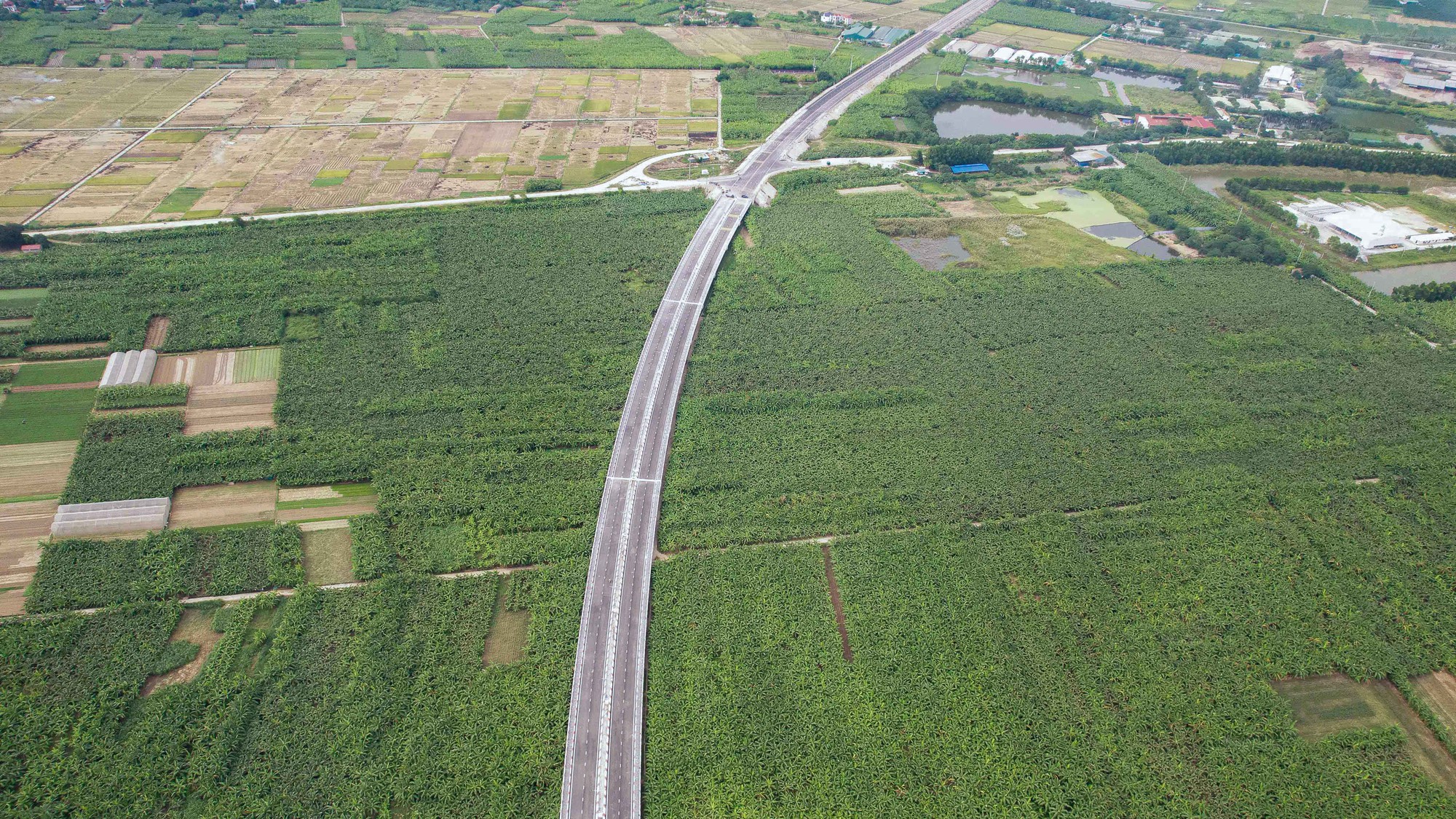 Chi&ecirc;m ngưỡng c&acirc;y cầu v&ograve;m th&eacute;p cao nhất Việt Nam - Ảnh 4.