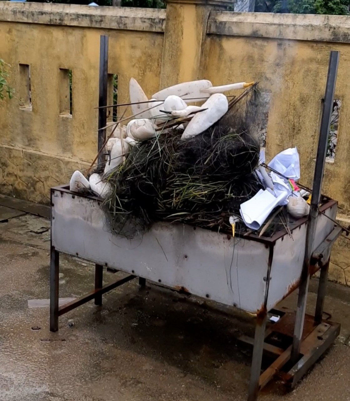 H&igrave;nh ảnh đau nh&oacute;i b&ecirc;n ma trận tận diệt chim trời: Kiểm tra hiện trường c&oacute; g&igrave;? - Ảnh 1.