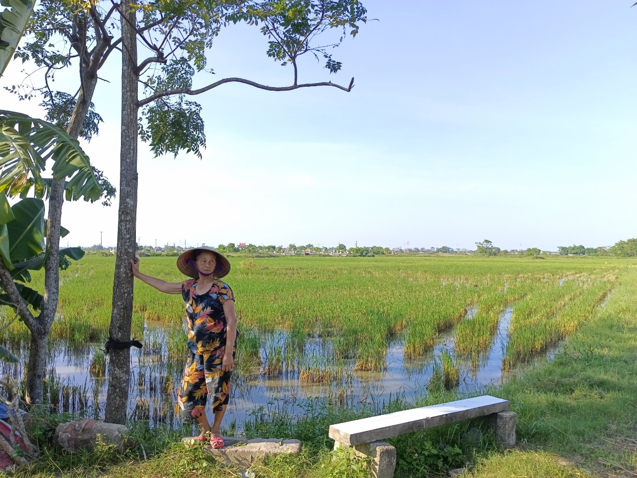 Vỡ đường ống dẫn nước thải, người d&acirc;n cả th&aacute;ng sống chung với m&ugrave;i h&ocirc;i thối - Ảnh 7.