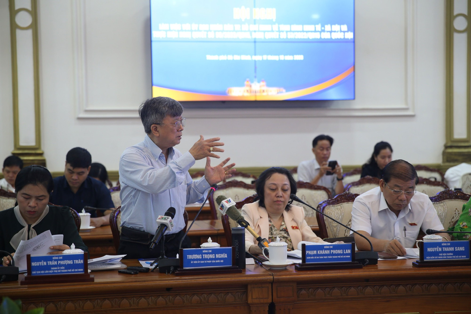 Minh định thước đo về TP HCM - Ảnh 4.