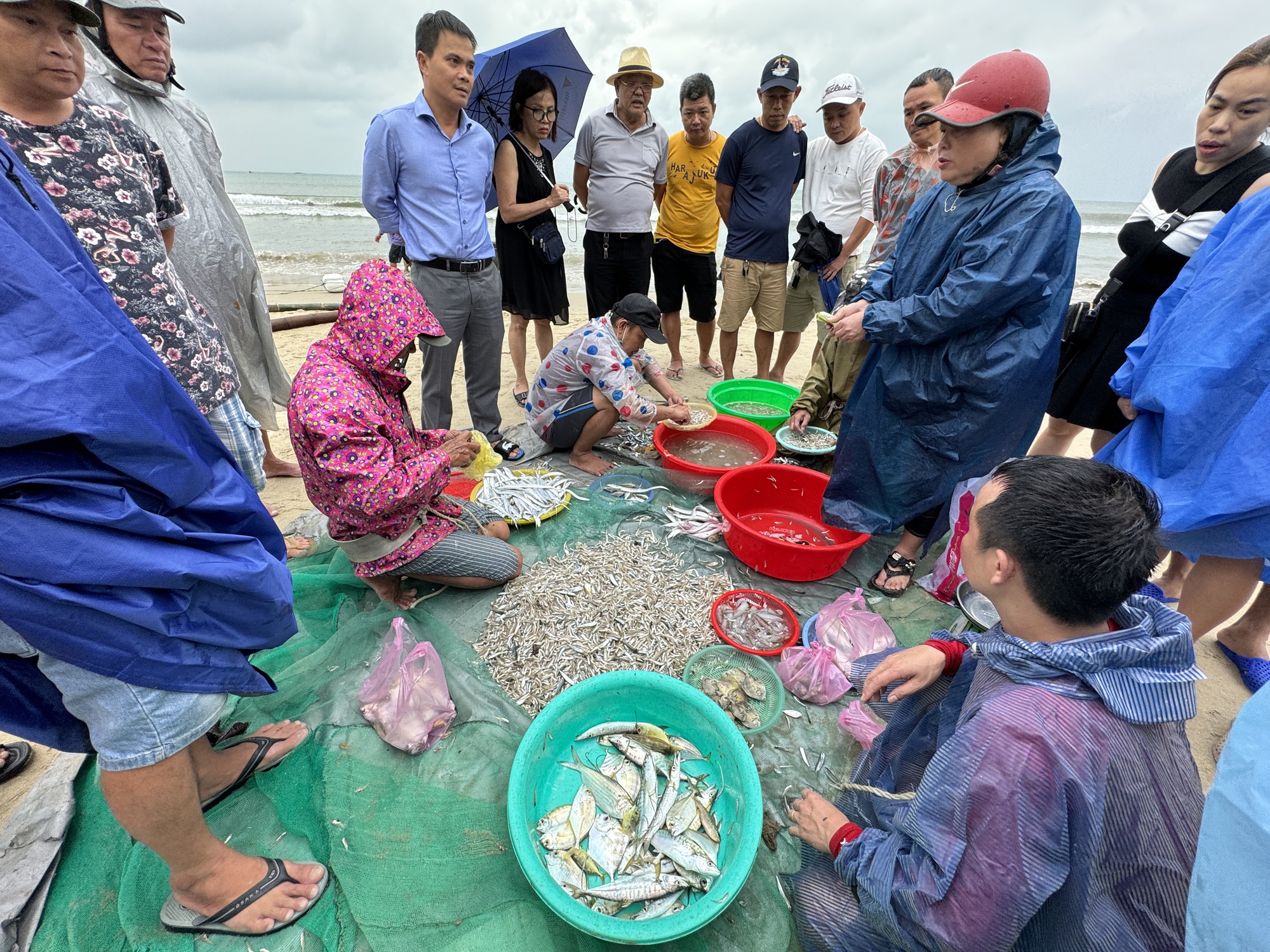 Độc đ&aacute;o cảnh k&eacute;o lưới gần bờ của ngư d&acirc;n Đ&agrave; Nẵng m&ugrave;a biển động - Ảnh 7.
