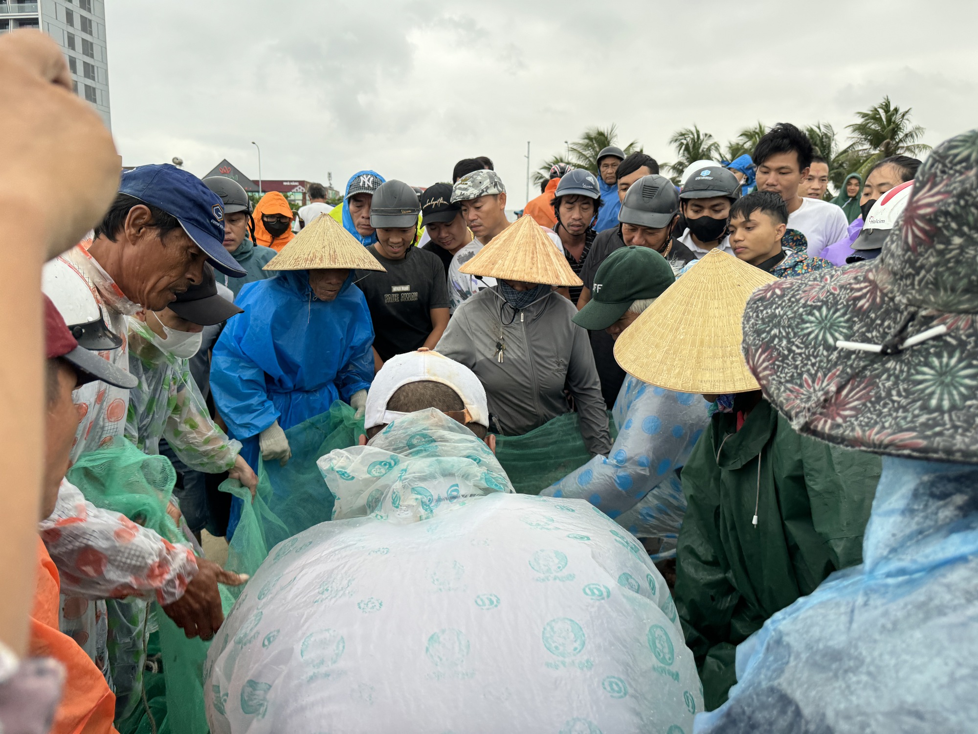 Độc đ&aacute;o cảnh k&eacute;o lưới gần bờ của ngư d&acirc;n Đ&agrave; Nẵng m&ugrave;a biển động - Ảnh 5.