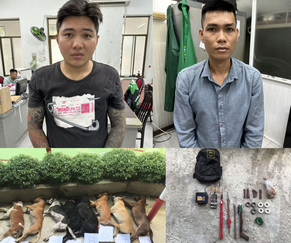 Danh t&iacute;nh hai thanh ni&ecirc;n trong clip &ocirc; t&ocirc; h&uacute;c xe trộm ch&oacute; ở TP HCM - Ảnh 1.