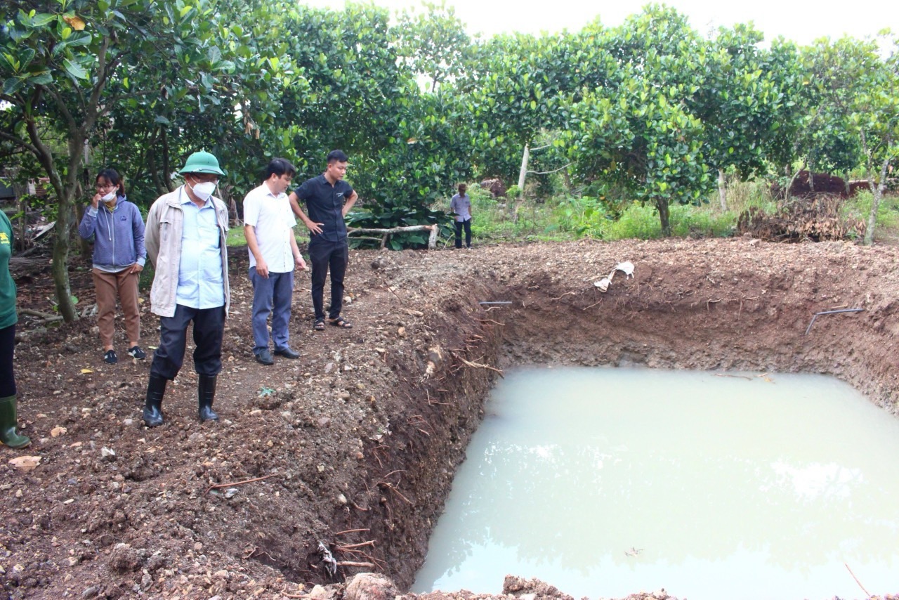 Vì sao hàng trăm cơ sở chăn nuôi ở Đồng Nai vừa bị xử phạt?